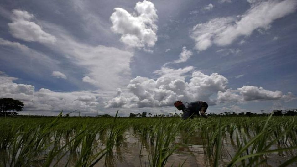 Photo: Reuters Photo: Reuters