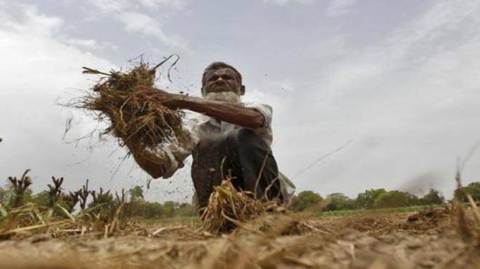 2016 monsoon rains seen above average: Skymet 2016 monsoon rains seen above average: Skymet
