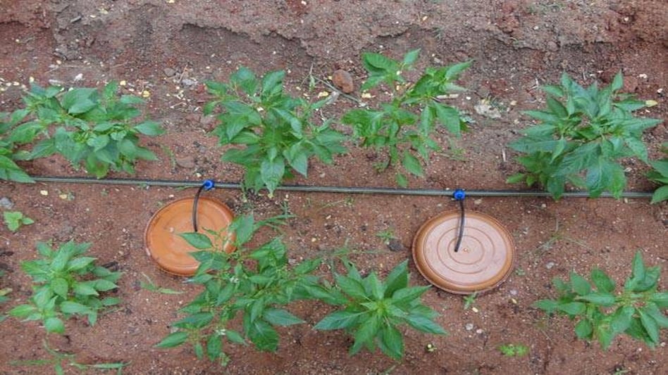 Photo: Reuters Photo: Reuters