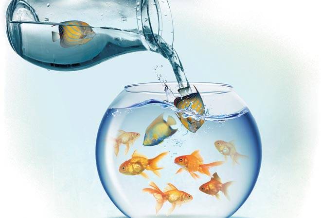 Photo: Ajay Thakuri Photo: Ajay Thakuri