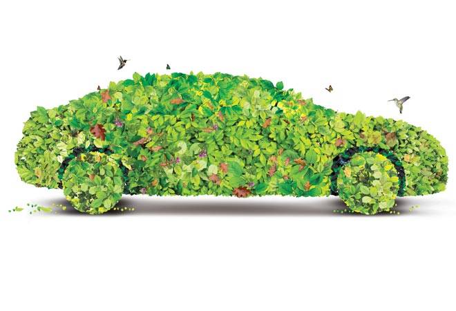 Hail the Hybrid (Photo: Raj Verma)