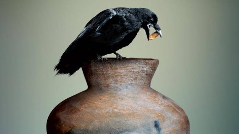 Photo: Nilanjan Das Photo: Nilanjan Das