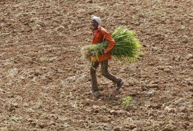 Gujarat government targets quadrupling agricultural income