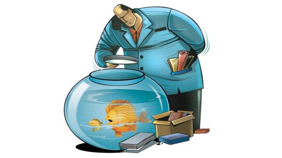 Photo: Ajay Thakuri Photo: Ajay Thakuri