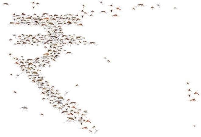 Photo: Ajay Thakuri Photo: Ajay Thakuri