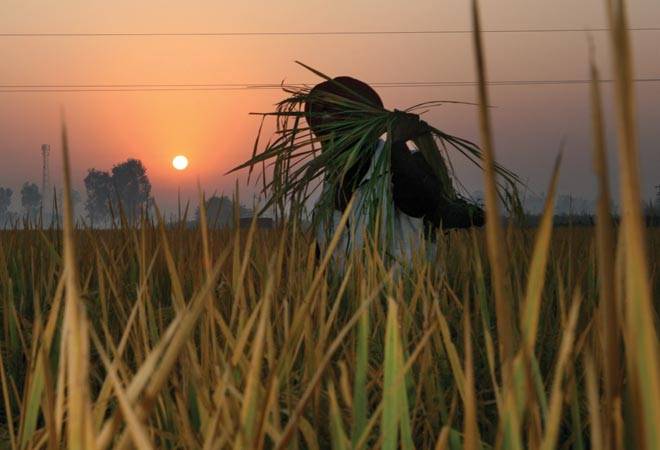 Photo: Shekhar Ghosh Photo: Shekhar Ghosh