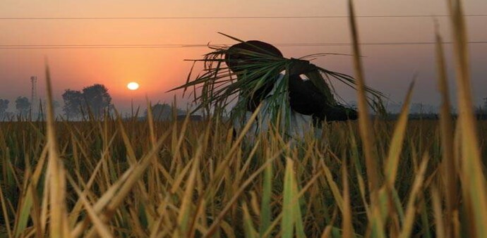 Photo: Shekhar Ghosh Photo: Shekhar Ghosh