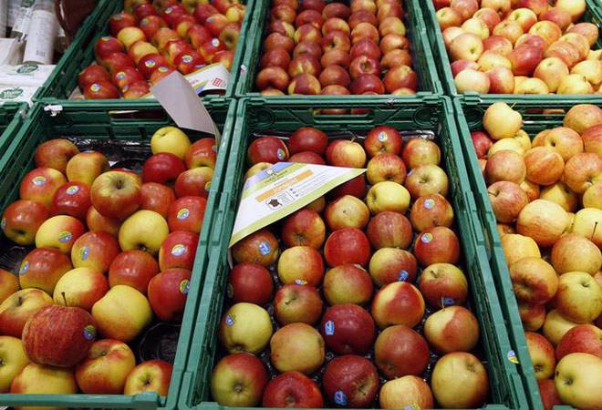 Apple cultivation supports over 1.7 lakh families: HP govt