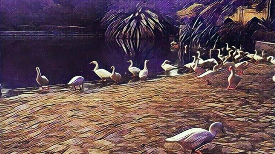 Prisma to Instagram: Photo apps that have made world more colourful Prisma to Instagram: Photo apps that have made world more colourful