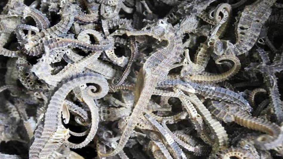 Photo: Reuters Photo: Reuters