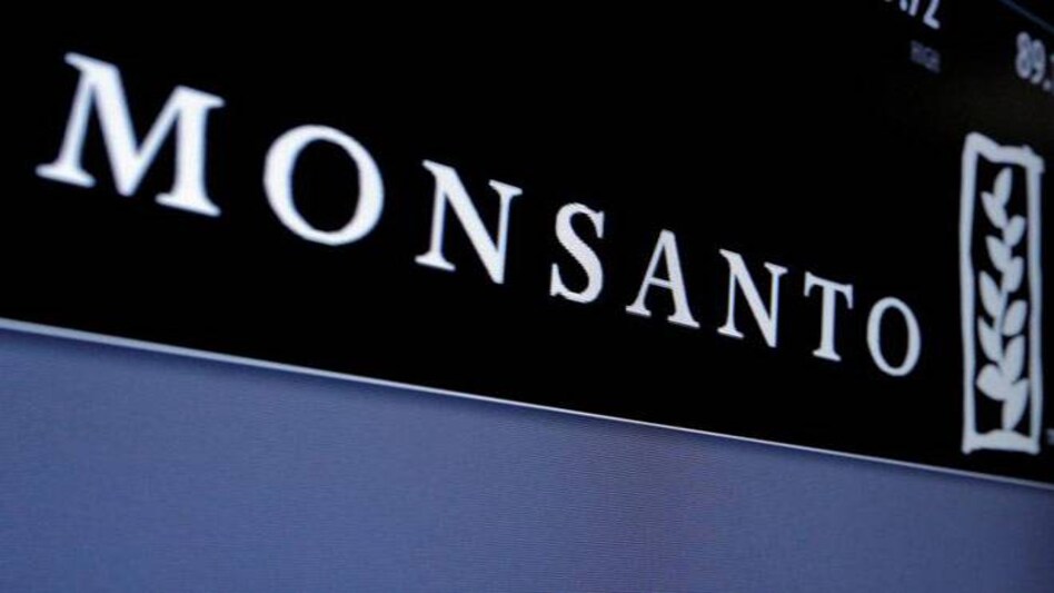 Monsanto India shares fall 2% after parent firm drops plan to launch GM cotton Monsanto India shares fall 2% after parent firm drops plan to launch GM cotton