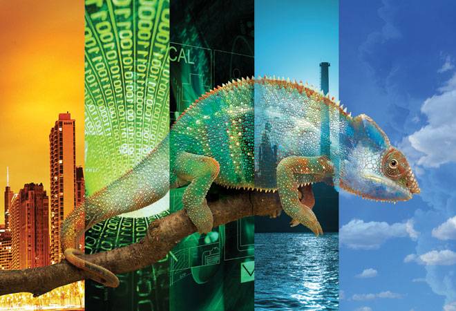 Photo: Ajay Thakuri Photo: Ajay Thakuri