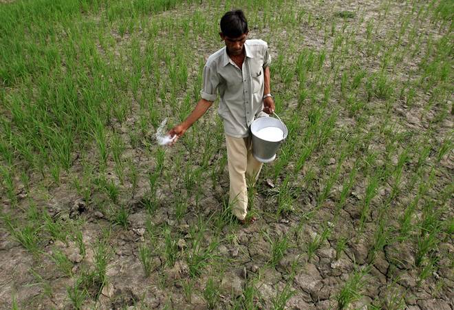 New direct transfer scheme in fertilizers could bolster farmer subsidy