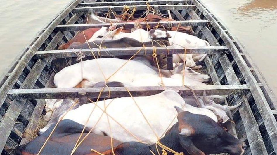 Phtoto: Mail Today Phtoto: Mail Today