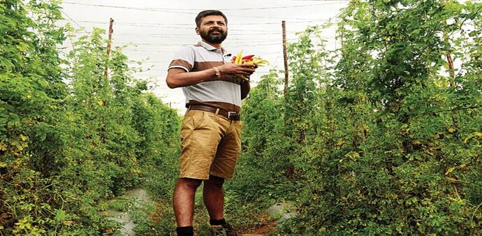 MODEKURTI NAMEET, co-founder, First Agro, a zero-pesticide farm near Mysore in Karnataka, is betting big on Peruvian and Japanese produce (Photo: Nilotpal Baruah) MODEKURTI NAMEET, co-founder, First Agro, a zero-pesticide farm near Mysore in Karnataka, is betting big on Peruvian and Japanese produce (Photo: Nilotpal Baruah)