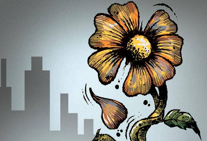 Photo: Ajay Thakuri Photo: Ajay Thakuri