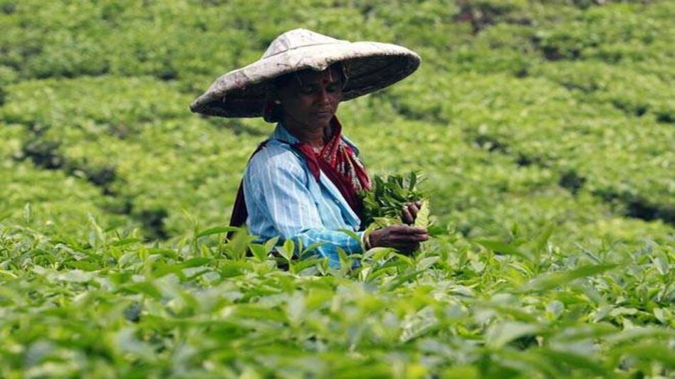 Photo: Reuters Photo: Reuters