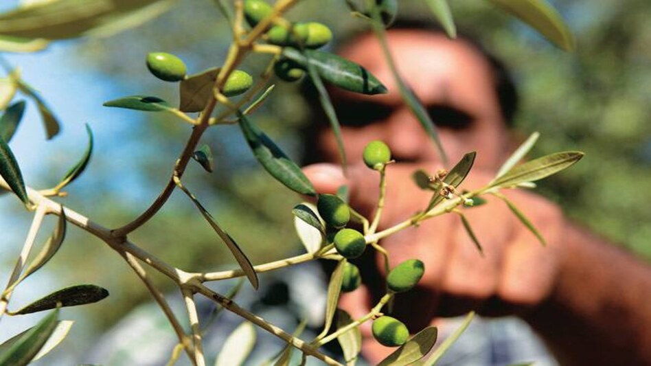 Photo: Shekhar Ghosh Photo: Shekhar Ghosh