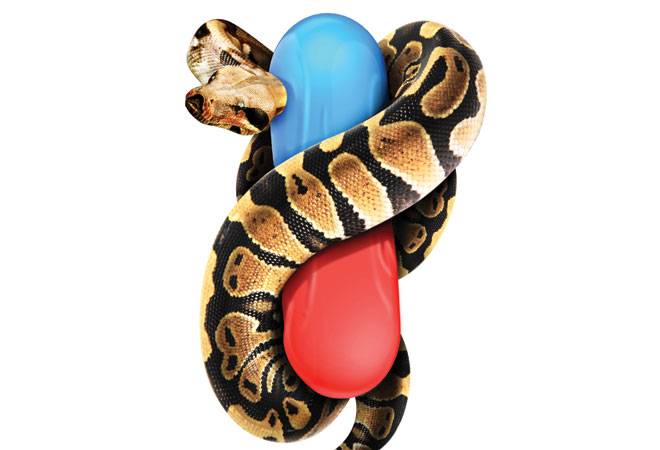 Illustration: Ajay Thakuri Illustration: Ajay Thakuri