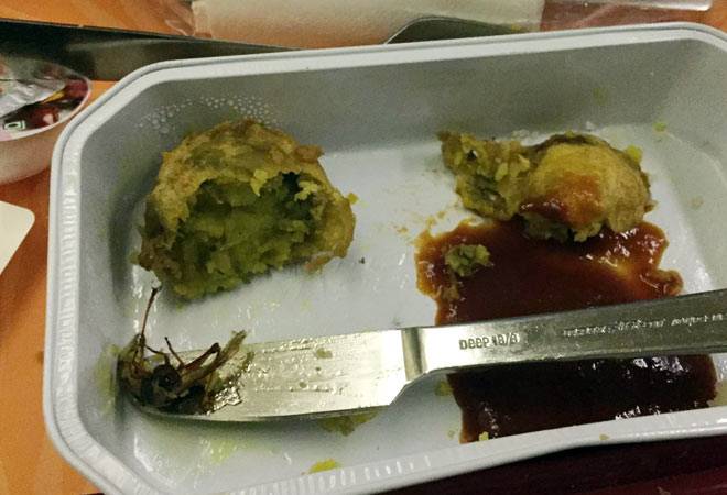 Air India 'serves' cockroach-meal on flight