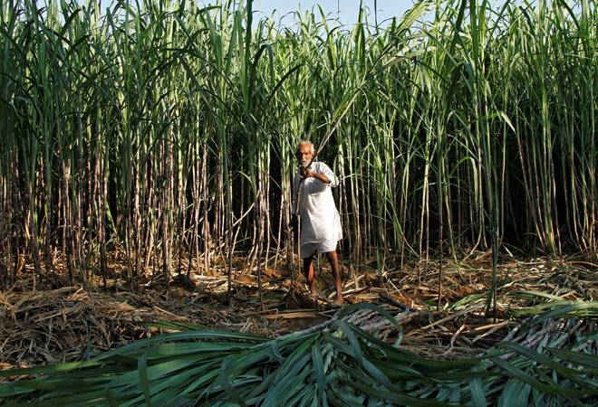 UP farmers get accident insurance