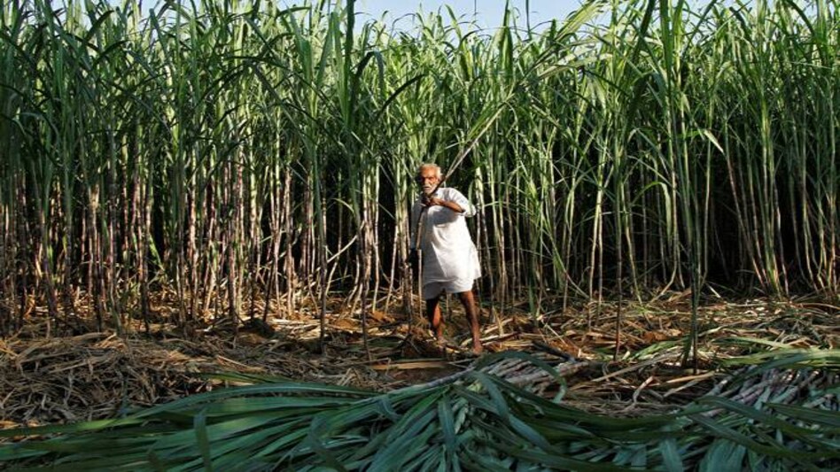 Photo: Reuters Photo: Reuters