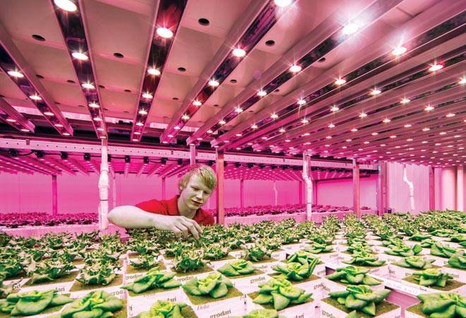 Photo Credit: 'BRIGHT BOX' Research and education centre, Venlo, Netherlands Photo Credit: 'BRIGHT BOX' Research and education centre, Venlo, Netherlands