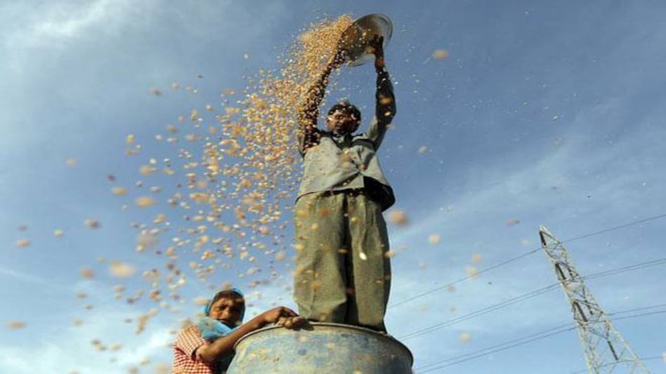 Foodgrain output up 8.1% in 2016-17 due to good monsoons Foodgrain output up 8.1% in 2016-17 due to good monsoons