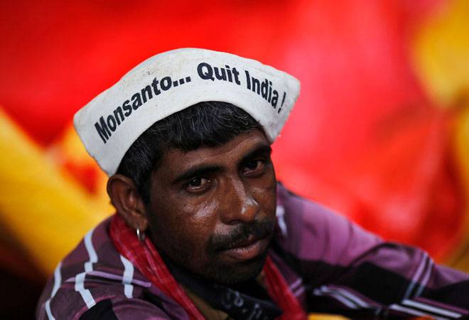 How an Indian cotton seed producer took on US giant Monsanto