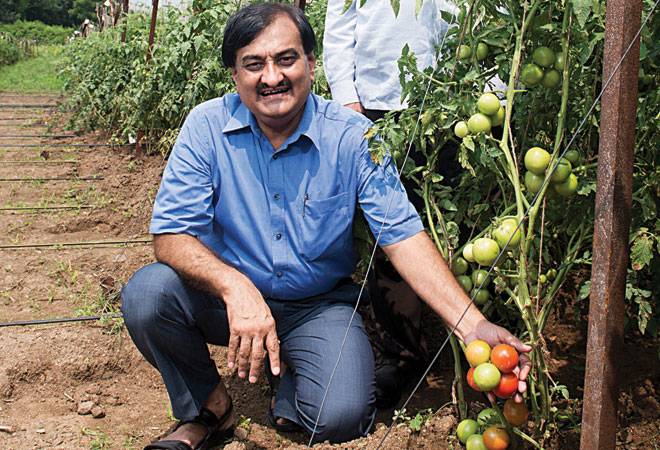 Nath Bio-Genes Managing Director Satish Kagliwal (Photo: Rachit Goswami) Nath Bio-Genes Managing Director Satish Kagliwal (Photo: Rachit Goswami)