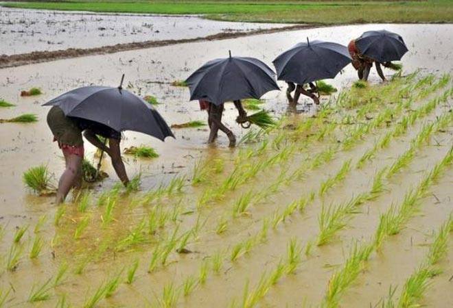 Monsoon will be 'normal' this year, says IMD
