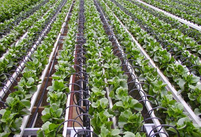 Jain Irrigation invests USD 48 mn to acquire 80% stake in two US entities