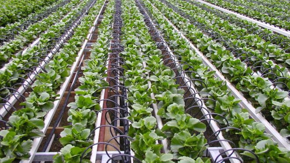 Jain Irrigation invests USD 48 mn to acquire 80% stake in two US entities Jain Irrigation invests USD 48 mn to acquire 80% stake in two US entities