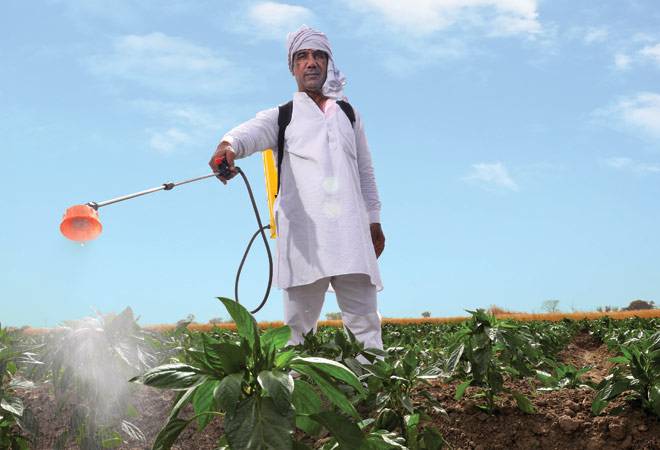 Photo: Shekhar Ghosh Photo: Shekhar Ghosh