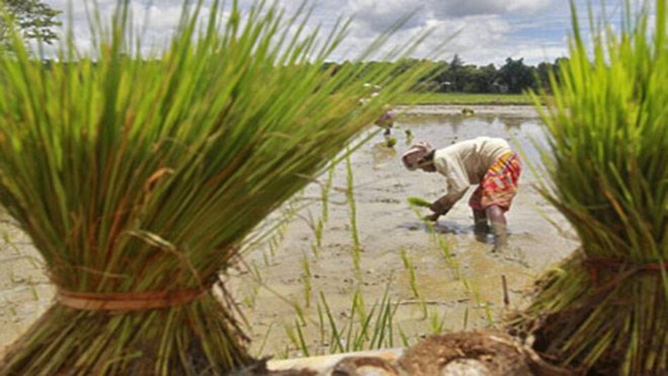 Farm loan write-offs win votes in India, but may hurt economy Farm loan write-offs win votes in India, but may hurt economy