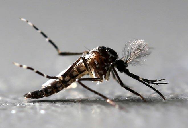 Bharat Biotech's Chikungunya Vaccine enters Phase I trials
