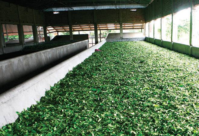 Photo: Shekhar Ghosh Photo: Shekhar Ghosh