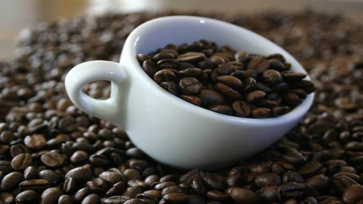 Production Of Luwak Coffee Set Up In India