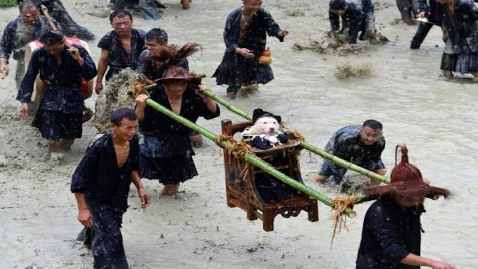 Photo Credit: Ben Nicholls Photo Credit: Ben Nicholls