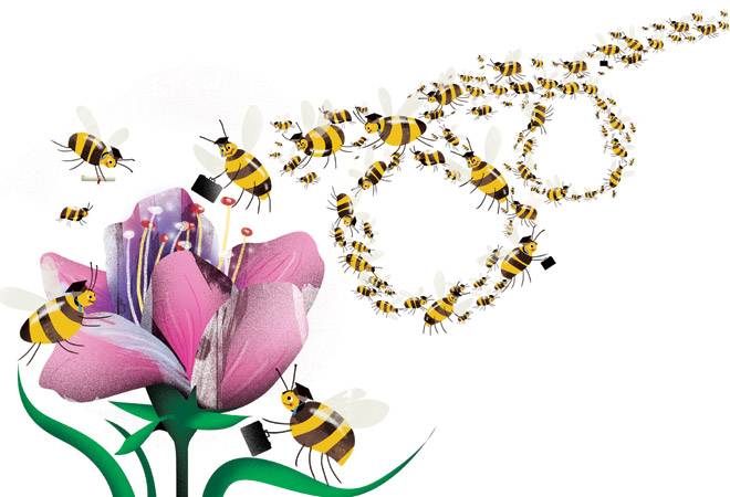 Illustration by Raj Verma Illustration by Raj Verma