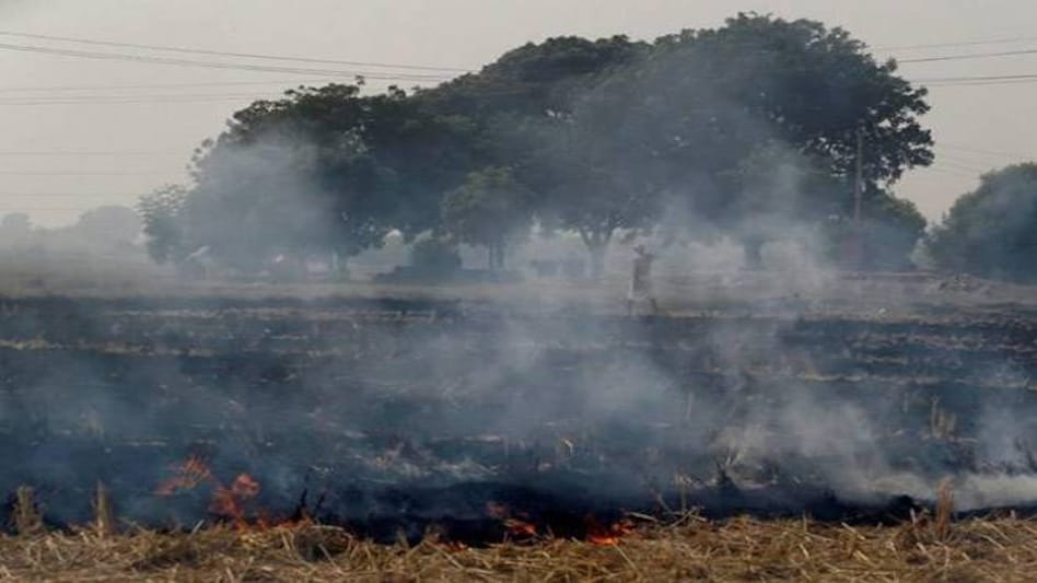 Delhi pollution: NTPC to source stubble for power plants; farmers to earn up to Rs 11,000 per acre Delhi pollution: NTPC to source stubble for power plants; farmers to earn up to Rs 11,000 per acre