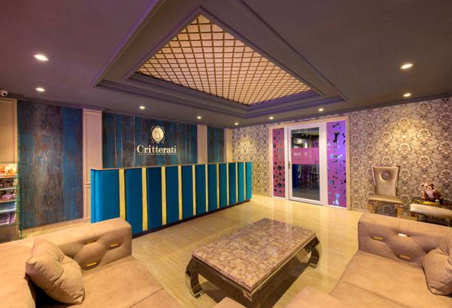 You can now put up your pooch in this exclusive dog hotel in Gurgaon