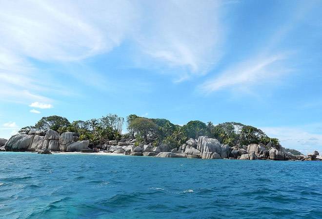 Indian-origin New York equity executive killed in shark attack while scuba diving