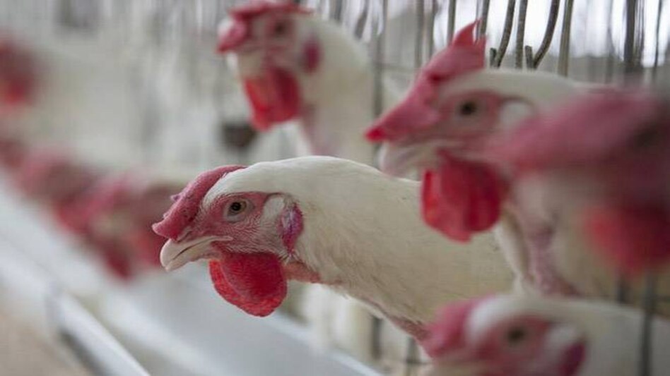 PC: Reuters PC: Reuters