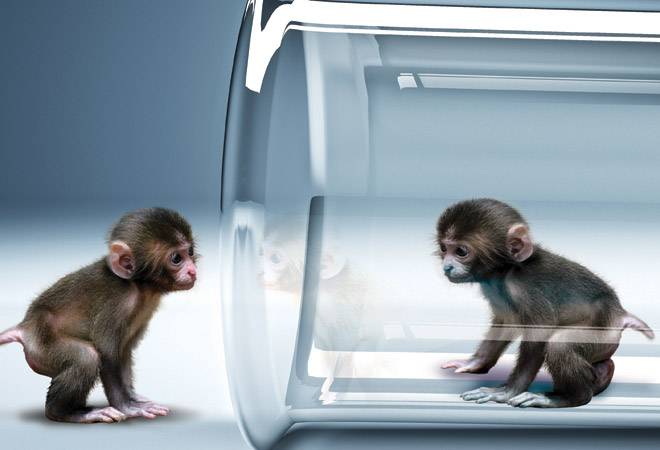 Illustration by Raj Verma Illustration by Raj Verma