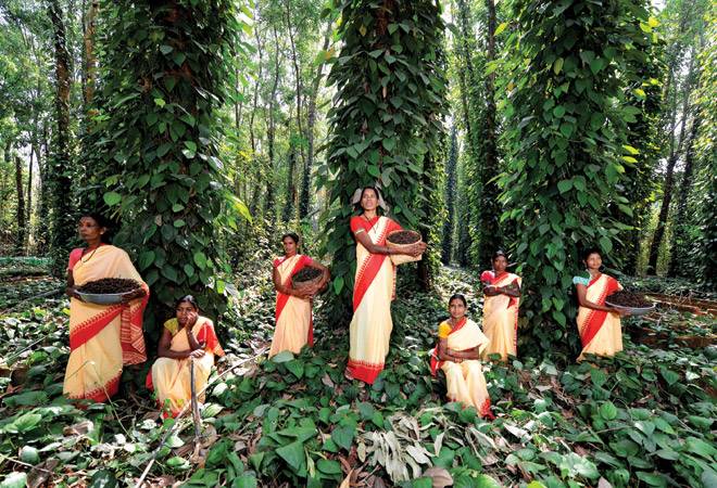 Photo: Shekhar Ghosh Photo: Shekhar Ghosh