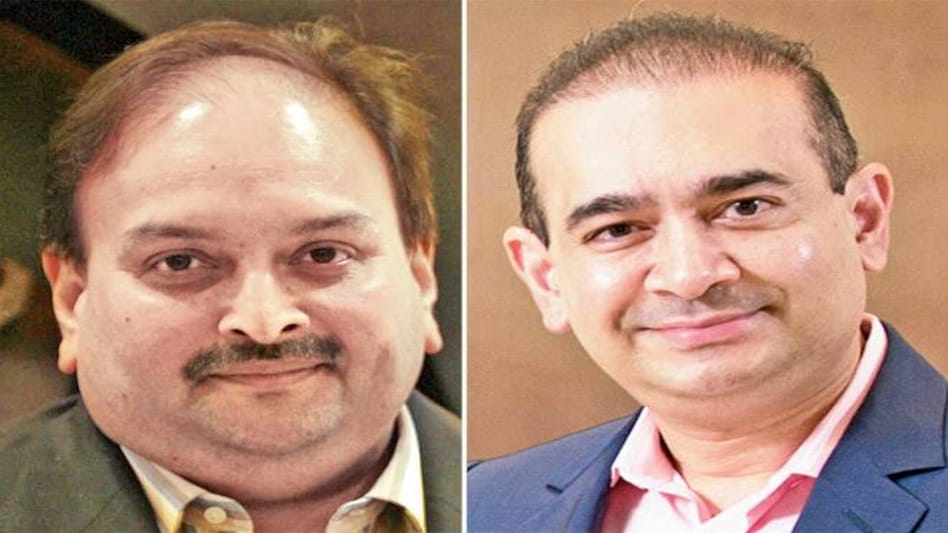 PNB fraud: NCLT bars Nirav Modi, Mehul Choksi from selling assets PNB fraud: NCLT bars Nirav Modi, Mehul Choksi from selling assets