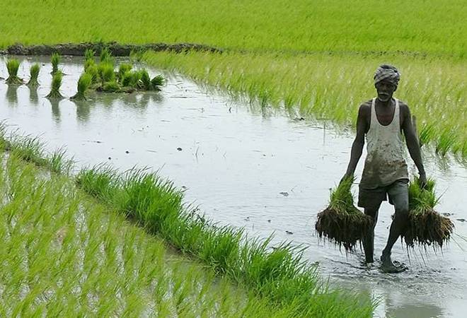Farmers' rights activists to alert farmers about crop MSP on social media
