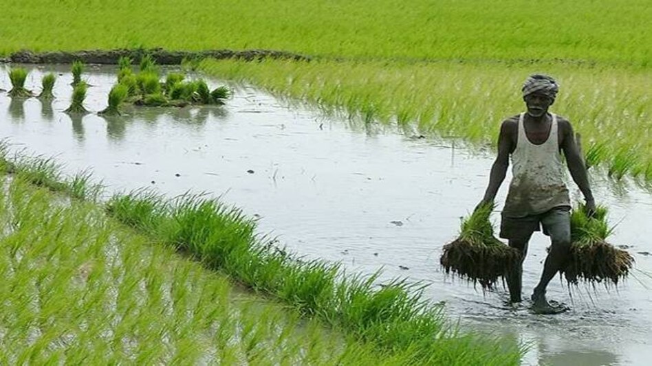 Farmers' rights activists to alert farmers about crop MSP on social media Farmers' rights activists to alert farmers about crop MSP on social media