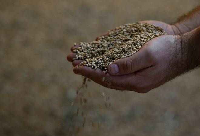 US think tank says trade protectionism harms poor the most, threatens food security